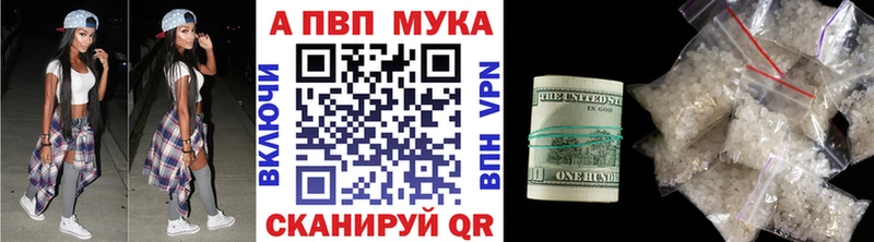 ссылка на мегу как зайти  shop состав  Альфа ПВП крисы CK  Судогда 